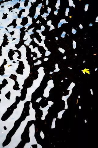 Image: 'Reflections': Montpelier