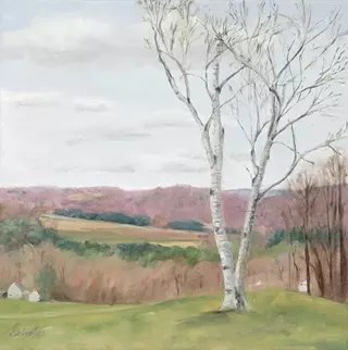 Image: Nancy Calicchio