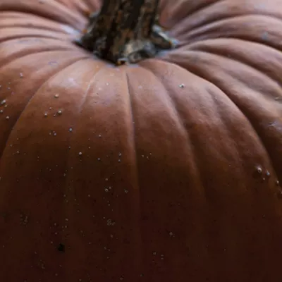 Image: Farmers Market Kitchen: Craig Claiborne's Pumpkin Pudding