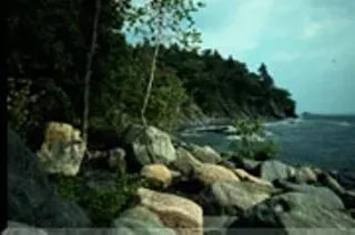 Image: Knight Island State Park