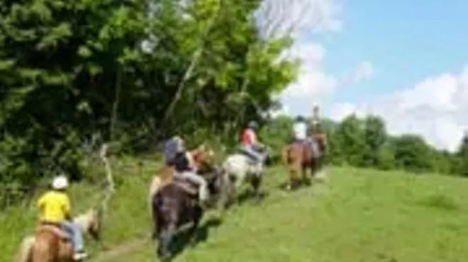 Image: Lajoie Stables