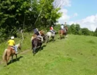 Image: Lajoie Stables