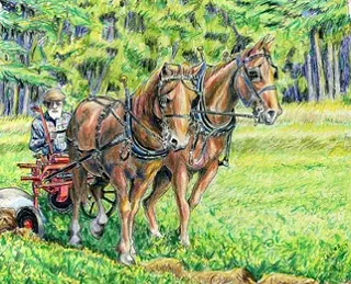 Image: 'Animal Power'