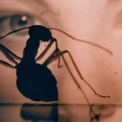 Image: What I'm Watching: Phase IV