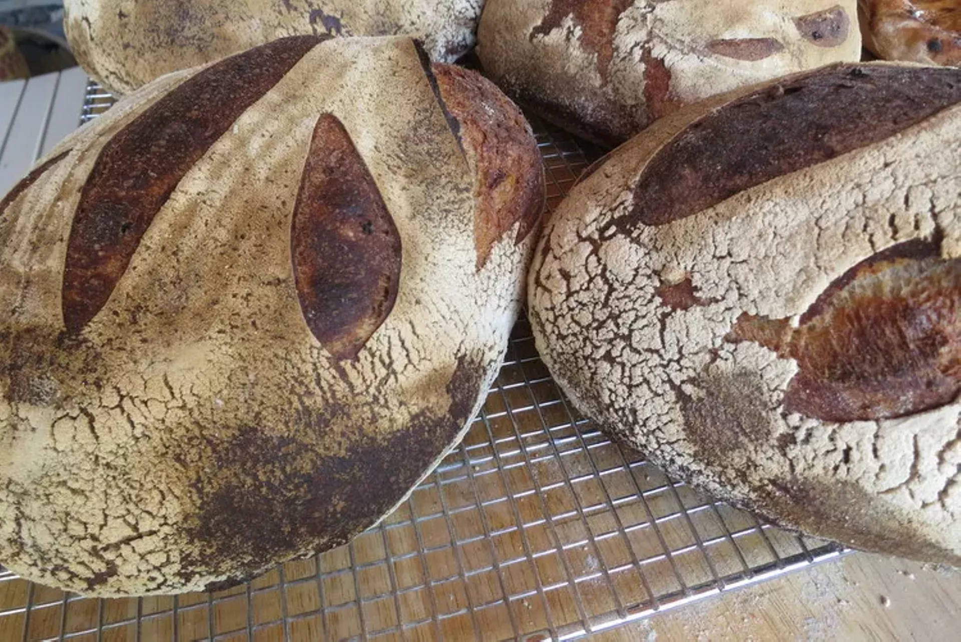 5335ee73_beestingbakery.webp