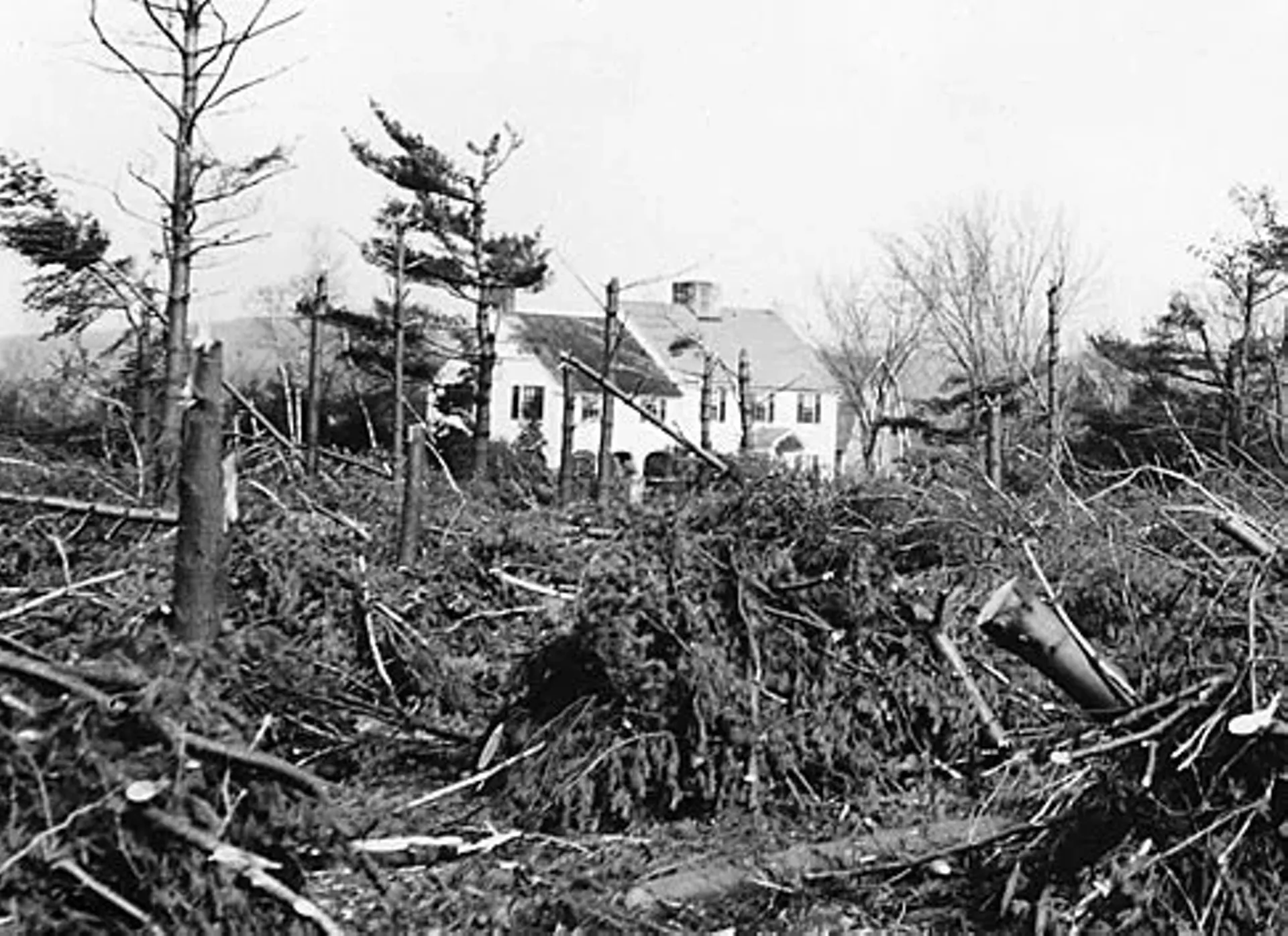 78e2c786_hurrican1938-long-crop.webp
