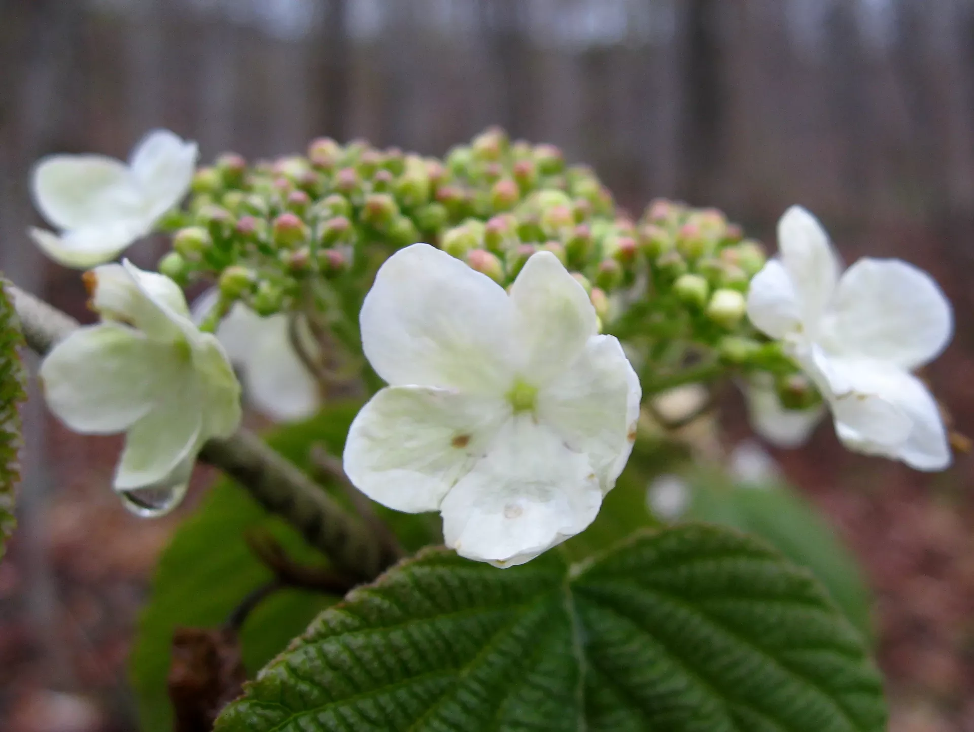16a96281_5.1.12_006.webp