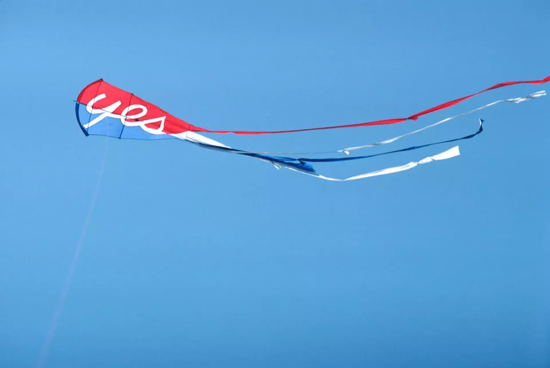 Kite by Kate Pond