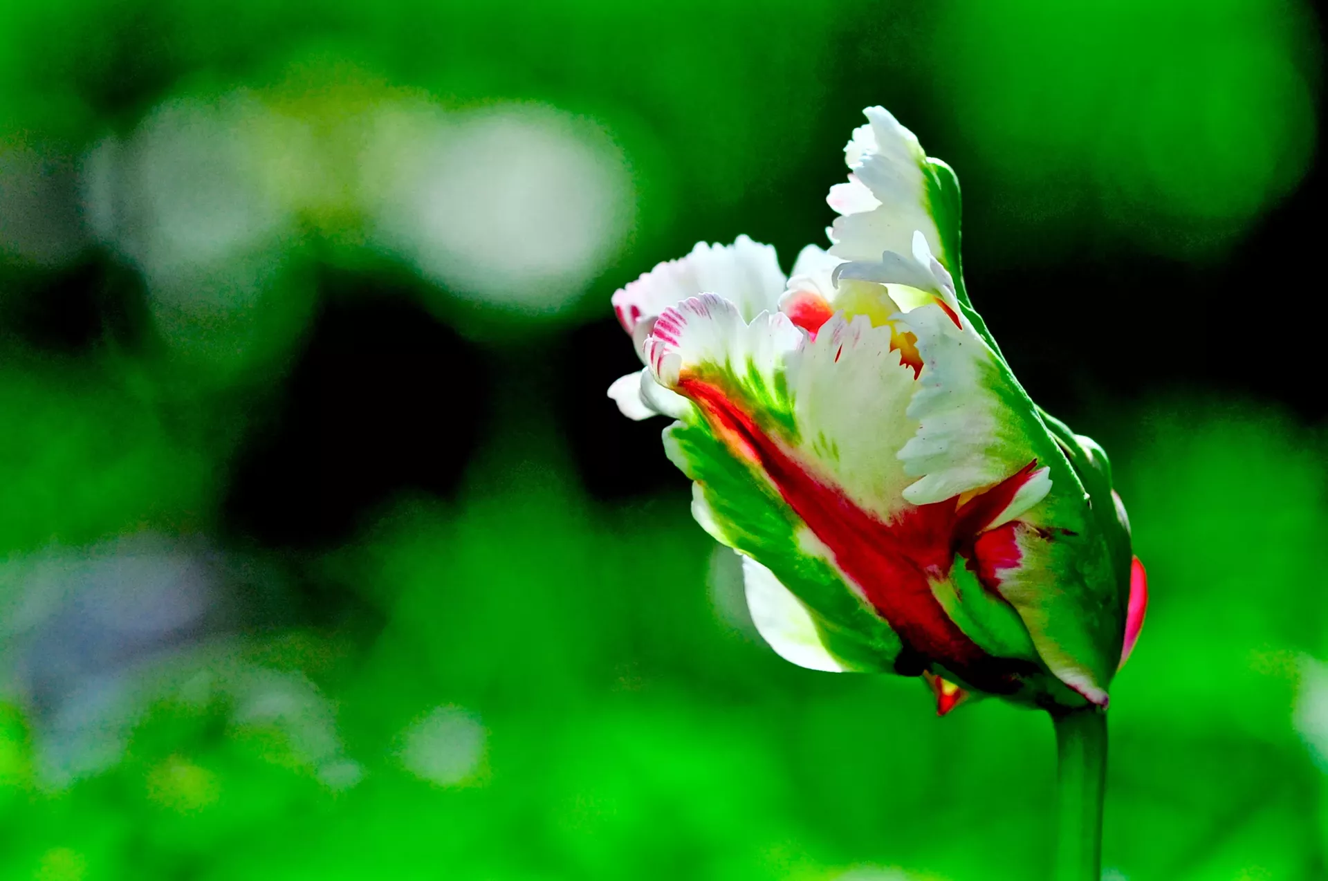 Photograph by Trine Wilson