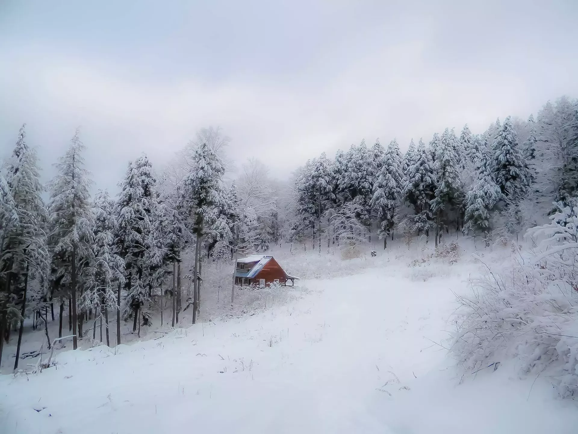 Photograph by John Duffy