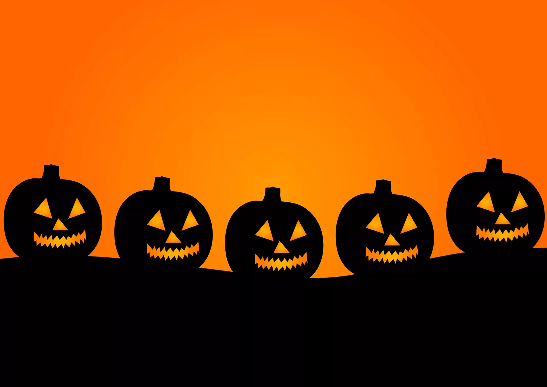 pumpkins_in_a_line.webp
