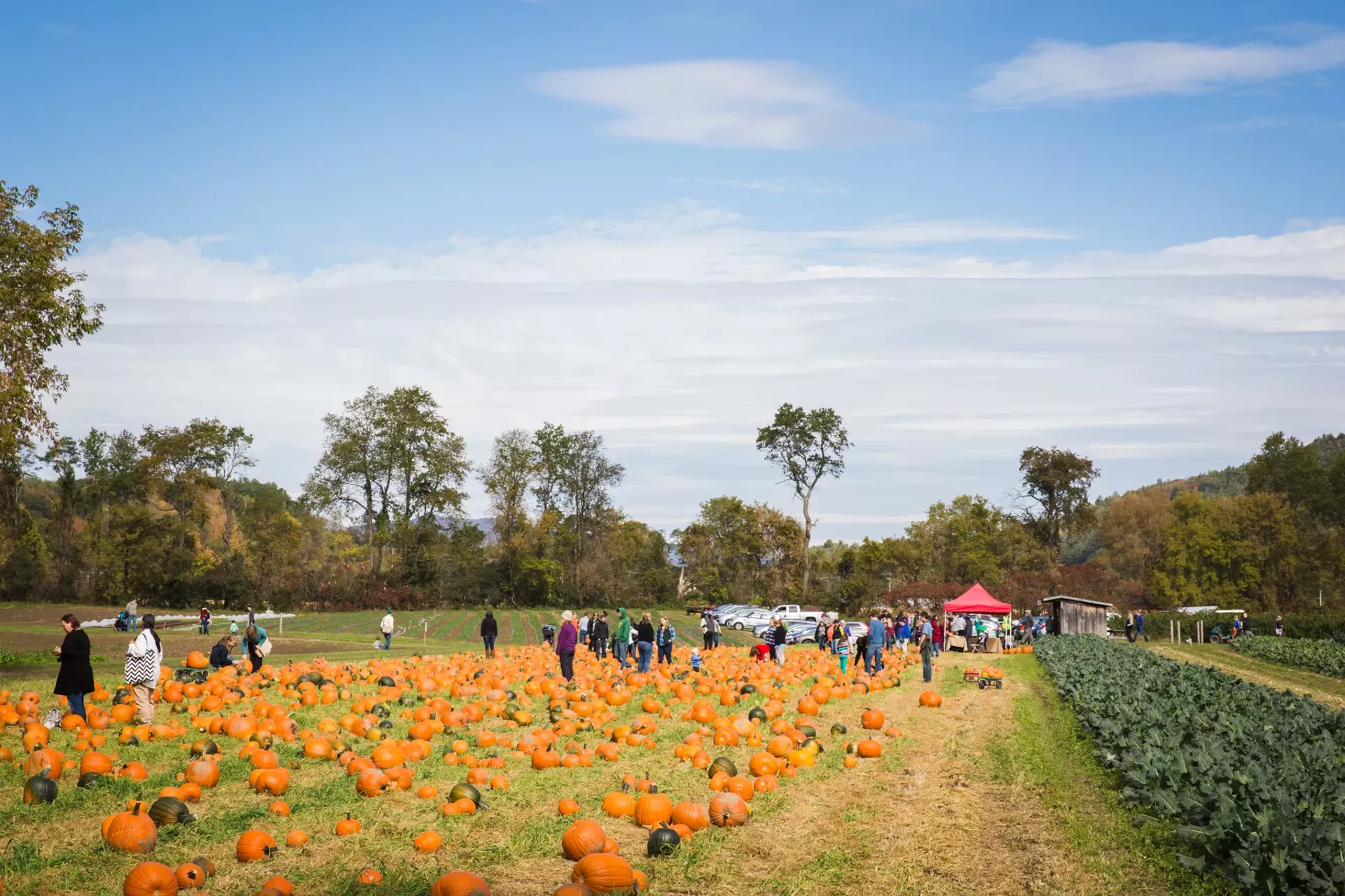 pumpkin_festival_courtesy_of_ben_fleishman-calendar-spotlight-ravin.webp