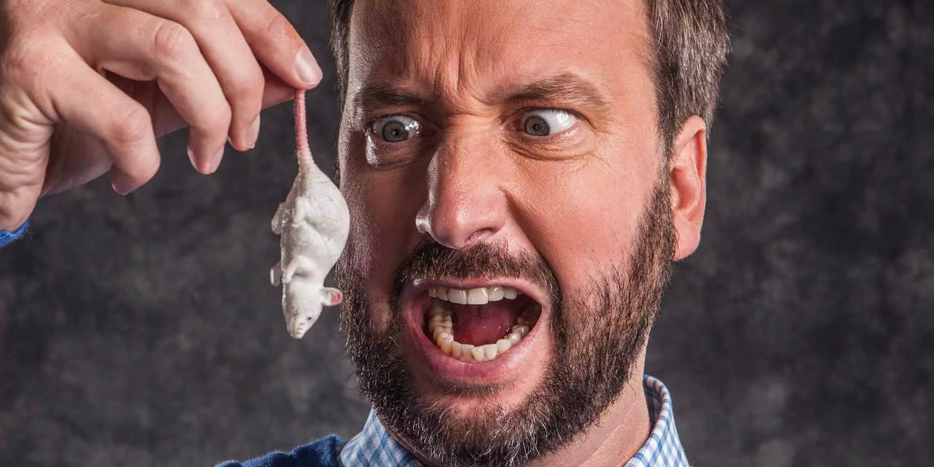 tomgreen-1.webp