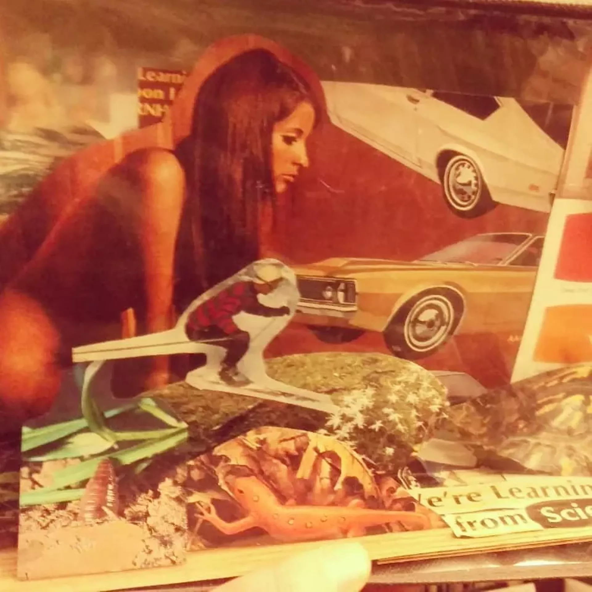 Detail of diorama by Kim Desjardins