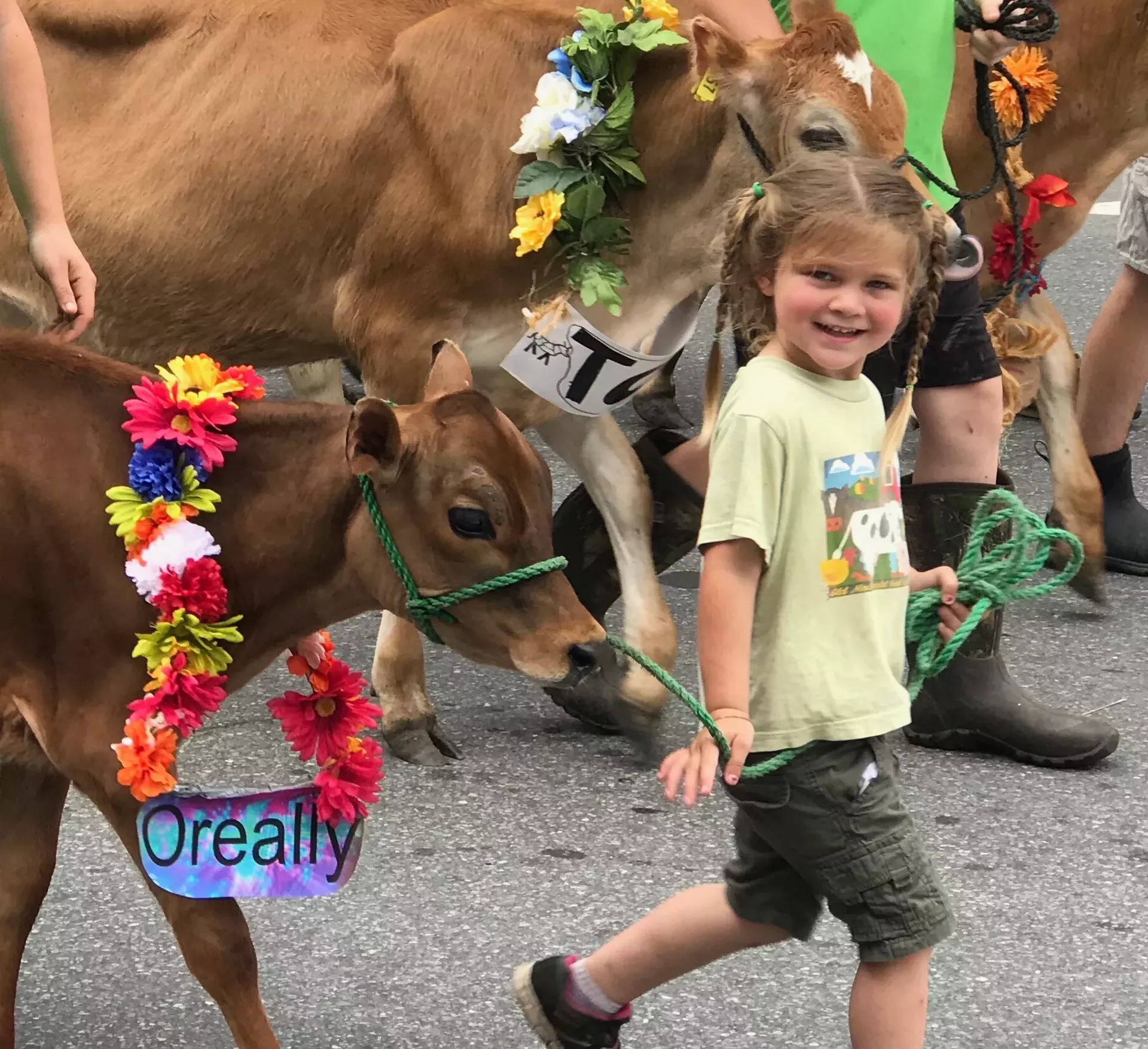 Strolling of the Heifers