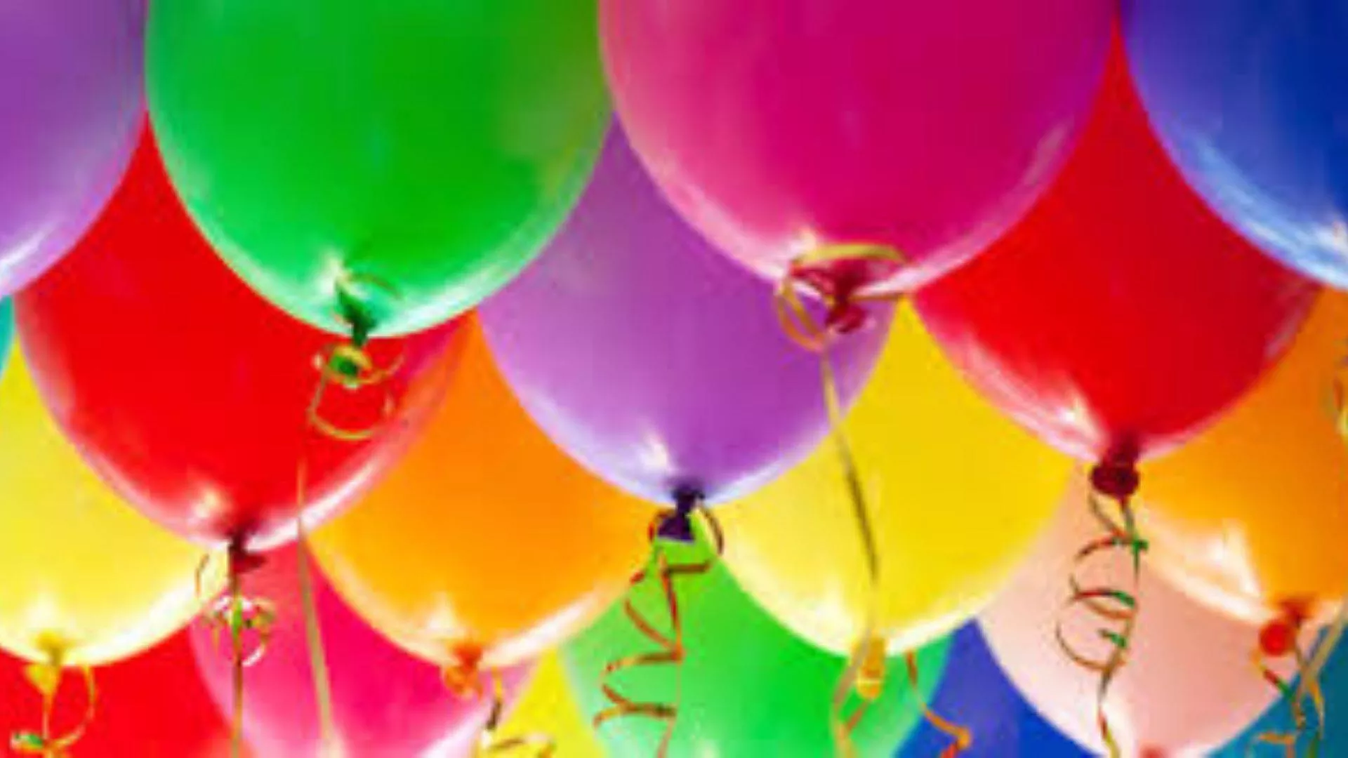 67184690_2319769561470045_888178058329063424_o.webp