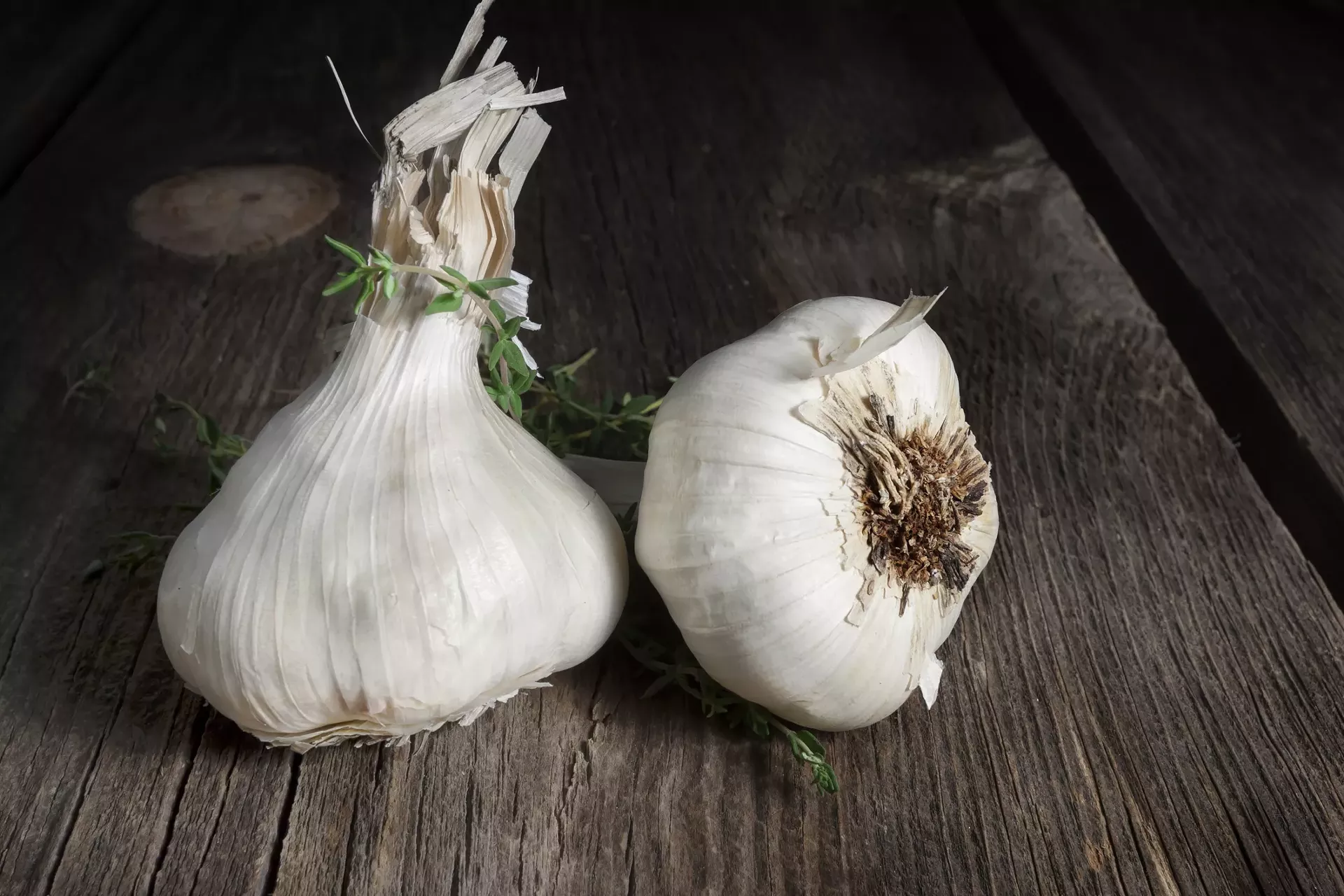garlic.webp