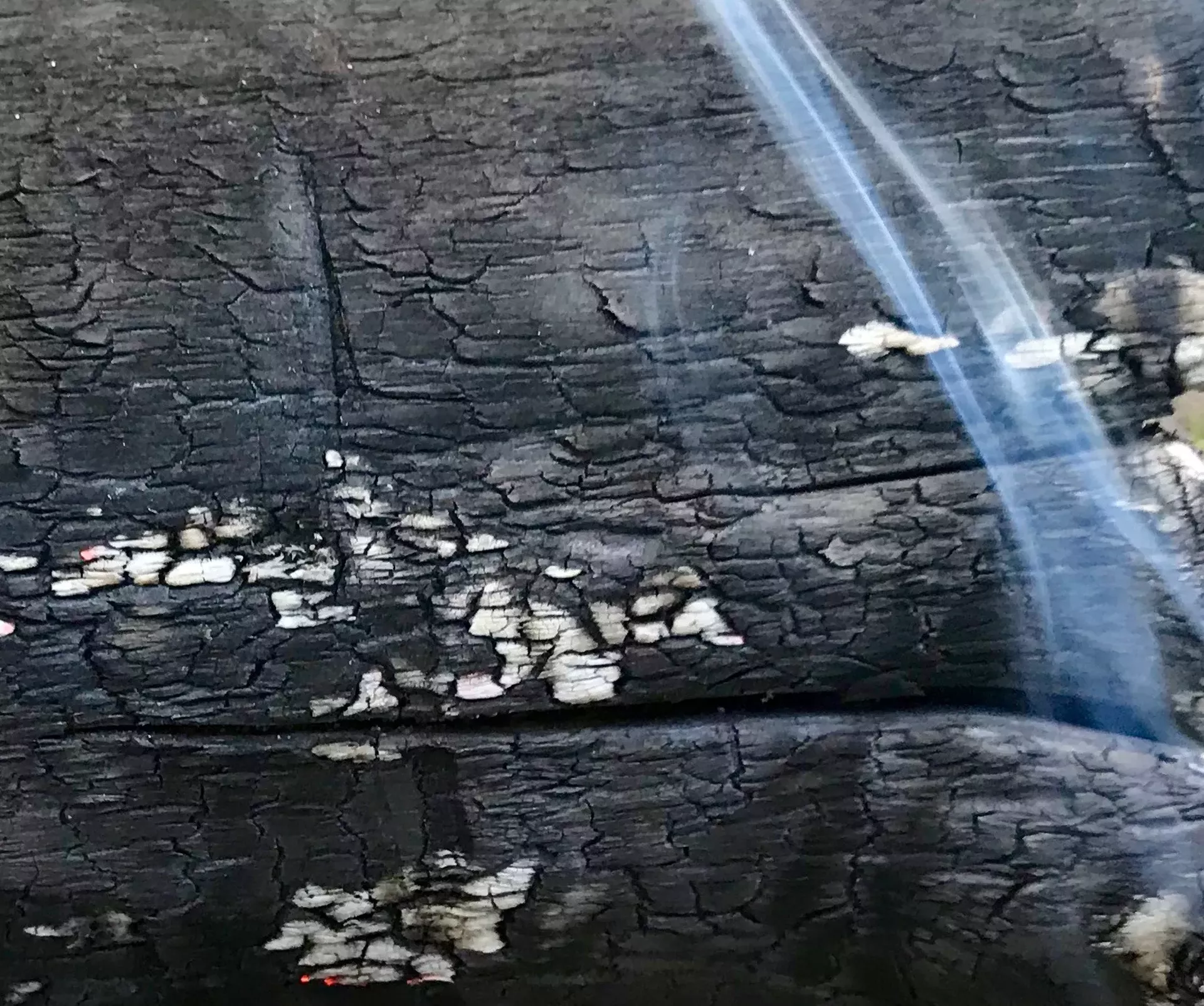 "OffSiteOnTime Burning"