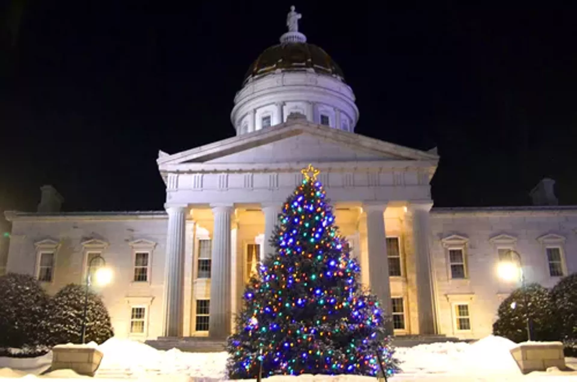 vt_sh_christmas_tree_lighting.webp