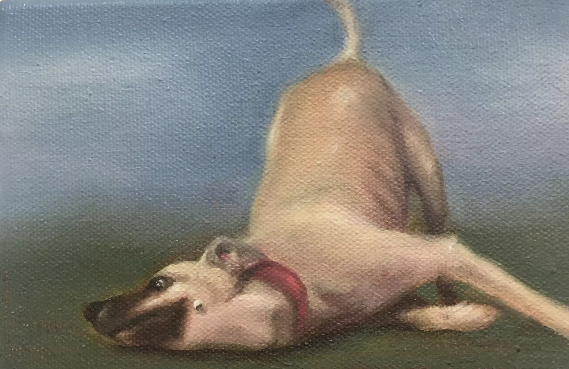 "Scratch Happy" by Teresa Celemin