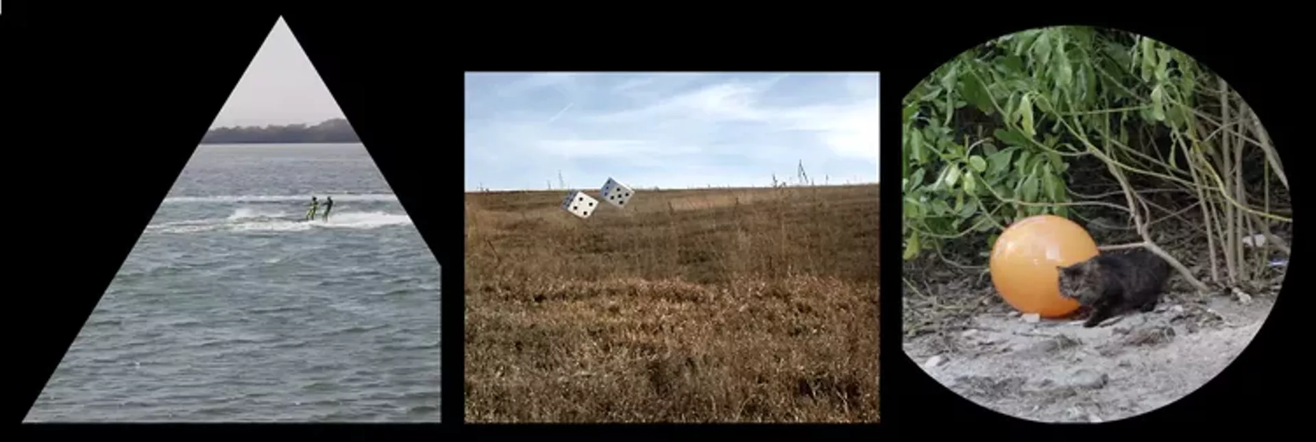Image from "Triangle, Circle, Square" by Andrew Brehm and Jennifer Lauren Smith