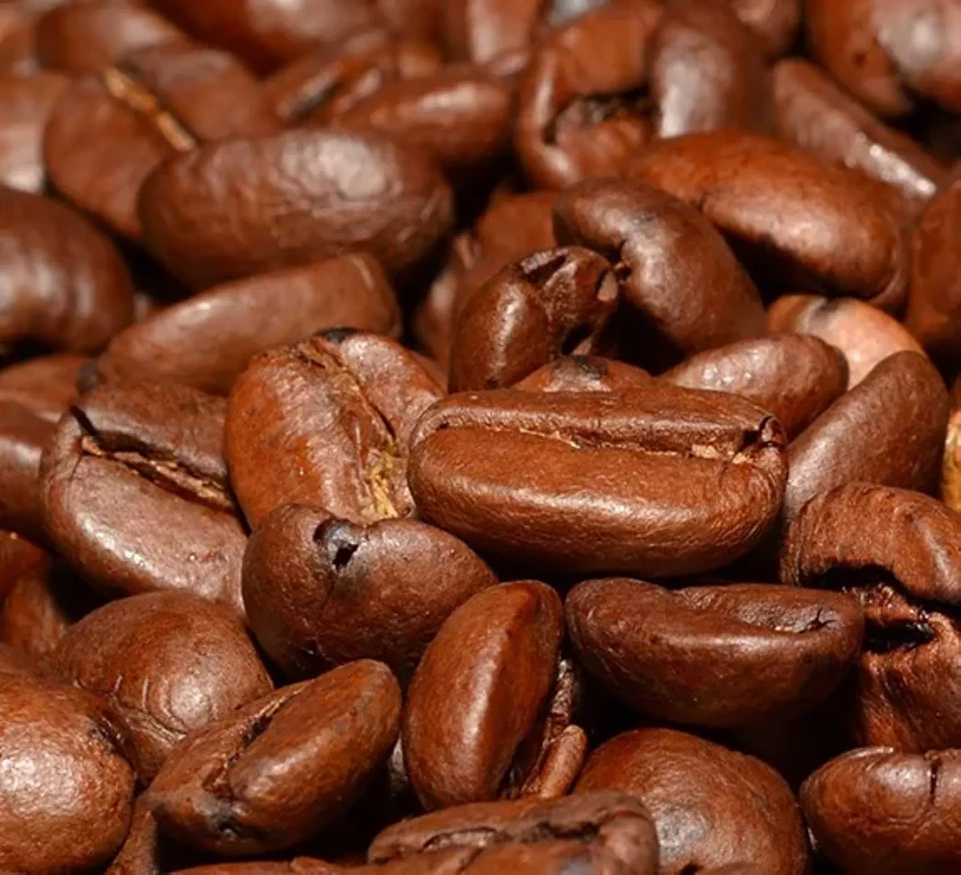 6977fb9a_coffee-beans-618856-002.webp