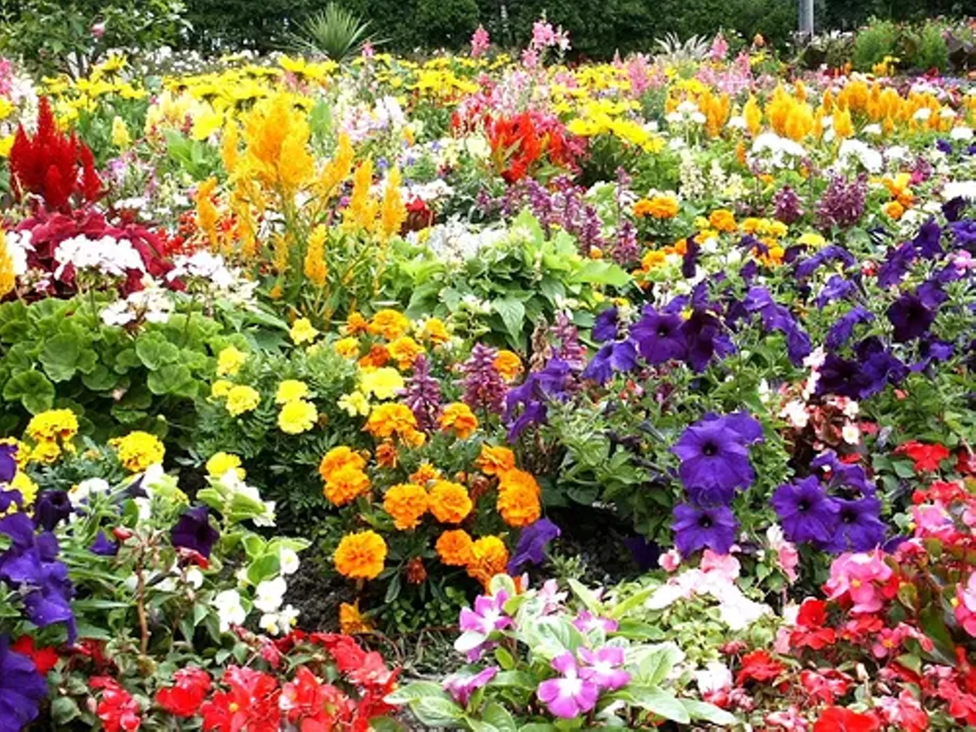 c8e669a7_garden.webp