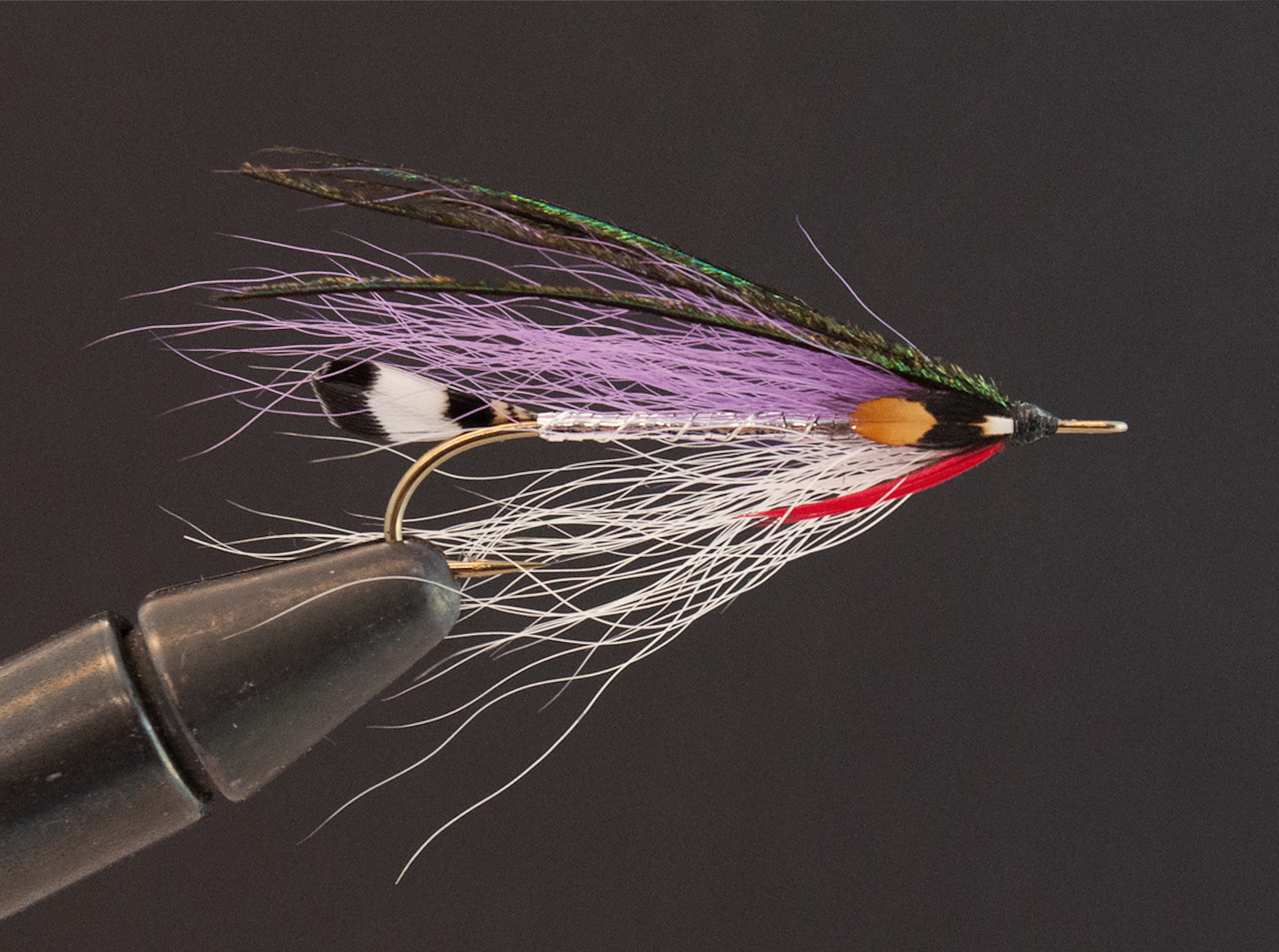 fly_fishing_festival-calendar-spotlight-williams.png