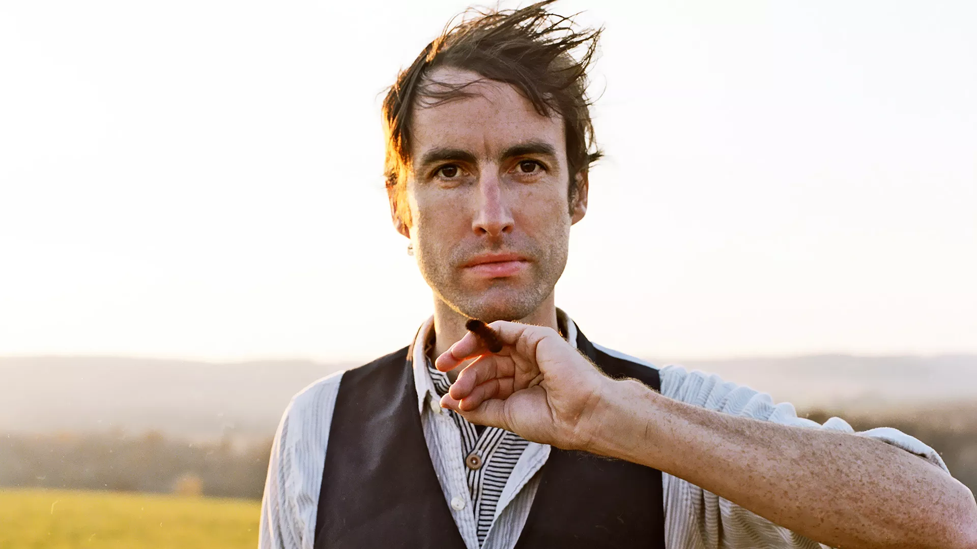 andrewbird.webp
