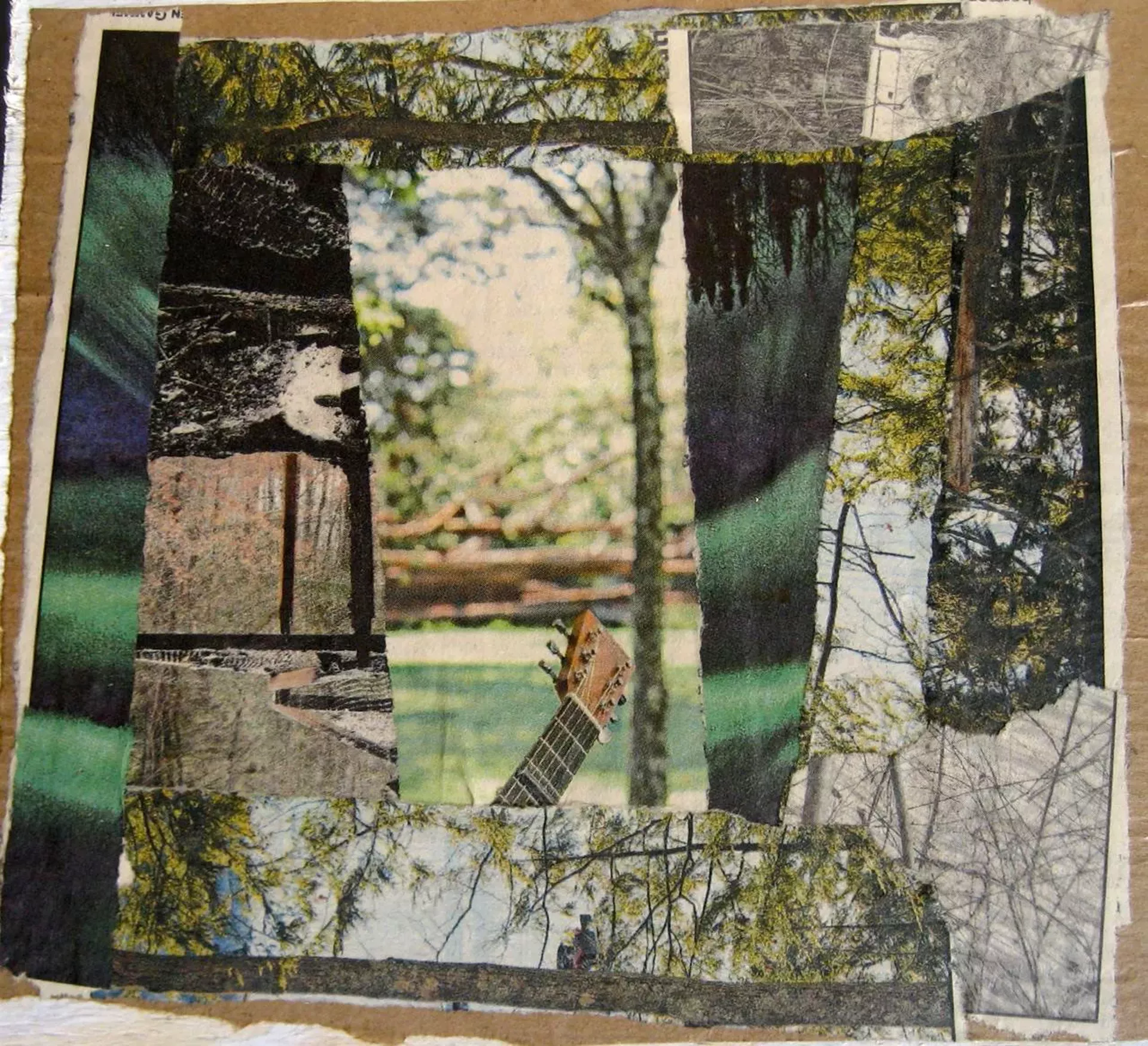 "It's All About the Trees #1" by Jeanne McMahan