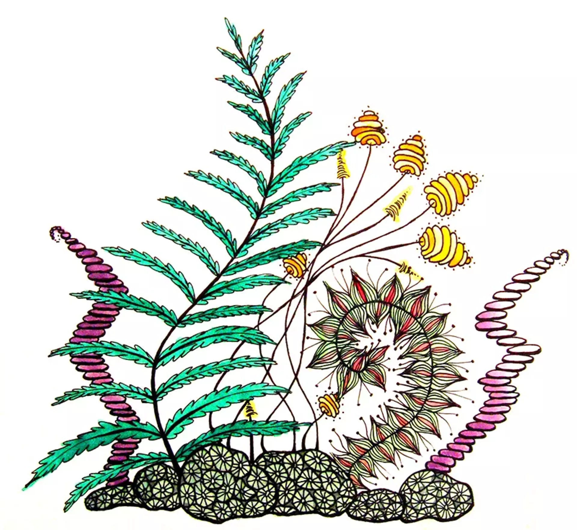 Untitled drawing by Marah Orvis