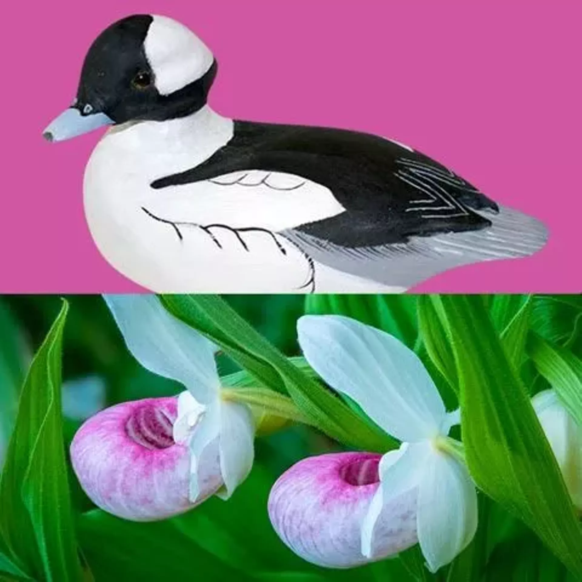 Top: carved bird by William Barnard; bottom: floral photograph by Richard Conrad