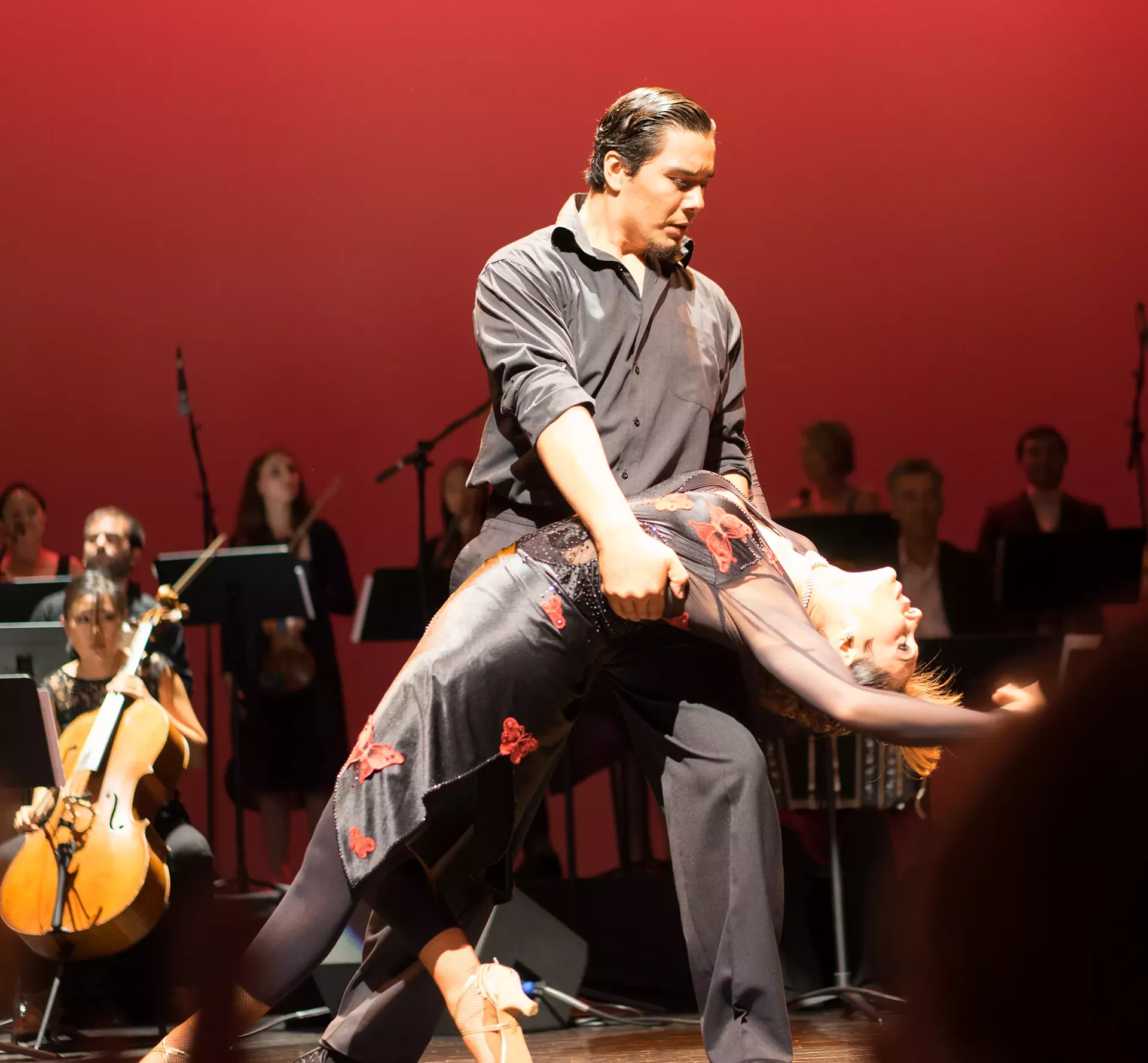 stowe_tango_music_festival1-calendar-spotlight-ravin.webp