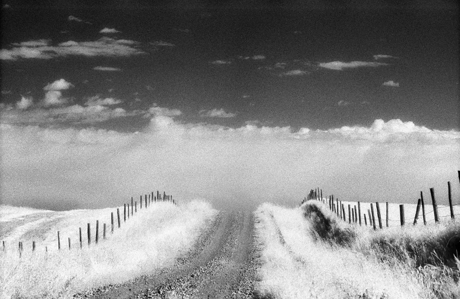 "Road Home" by Josh Axelrod