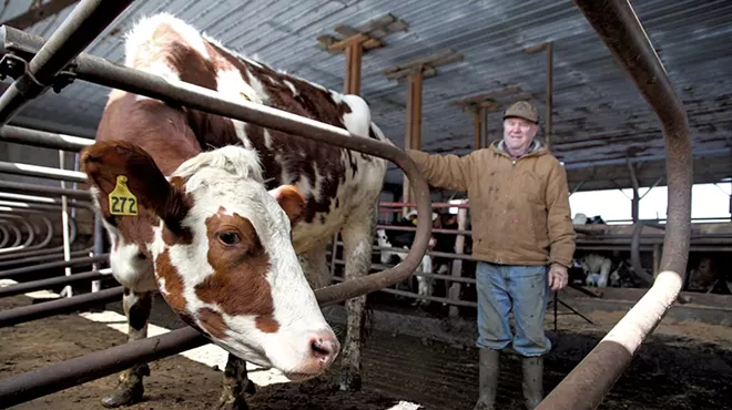 Image: Selling the Herd: A Milk Price Crisis Is Devastating Vermont's Dairy Farms