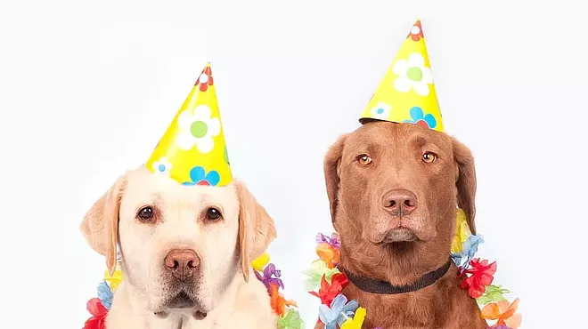 Image: Bow Wow Dog Luau