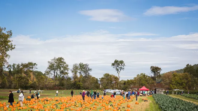 Image: Pumpkin Festival