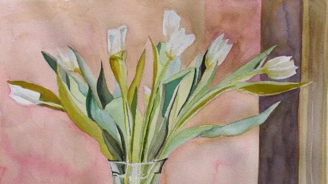 Image: Marcia Hammond