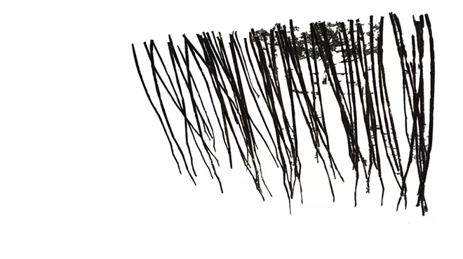 Image: 'Notweed'