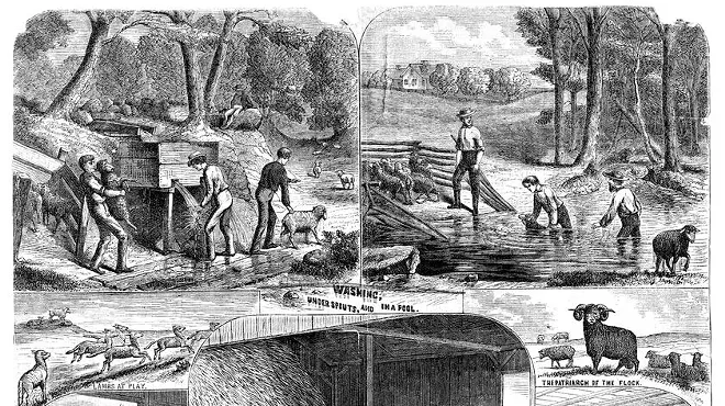 Image: 'The Farm: Drawings of Rowland Evans Robinson, 1850-1880'