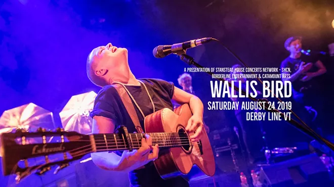 Image: Wallis Bird