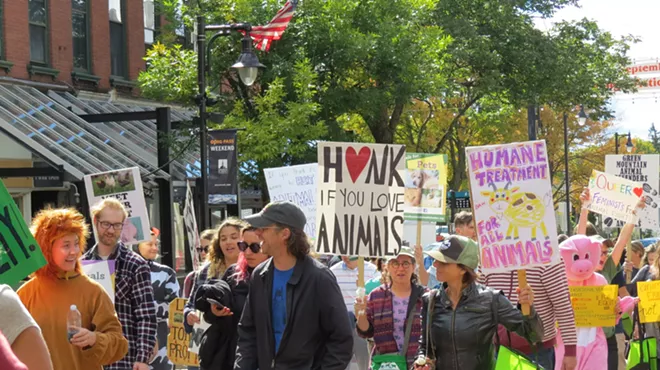 Image: Walk for All Animals
