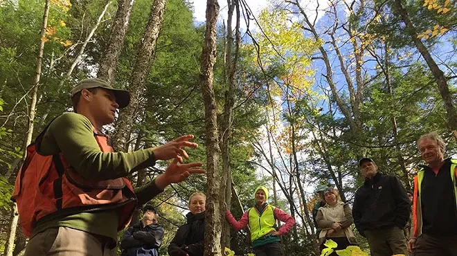 Image: Winter Forest Ecology Walk