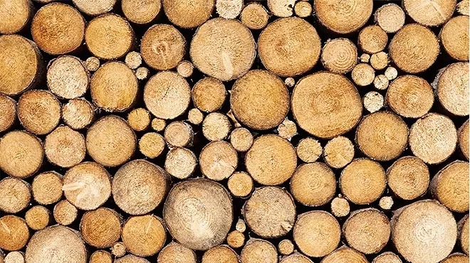 Image: Understanding Timber Harvesting