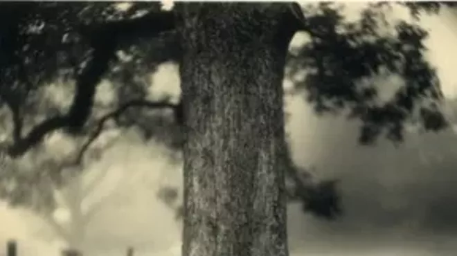 Image: 'What Remains: The Life and Work of Sally Mann'