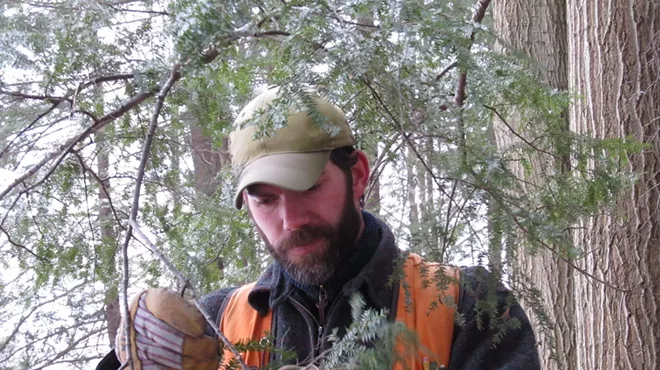 Image: Hemlock Woolly Adelgid Monitoring Workshop