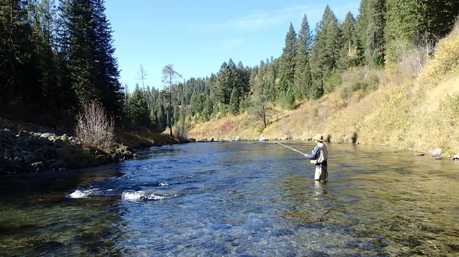 Image: Fly Fishing Movie Night