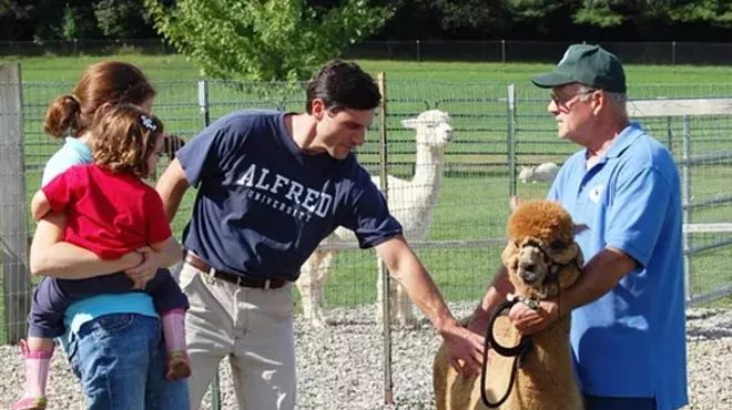 Image: Maple View Farm Alpacas Holiday Open House