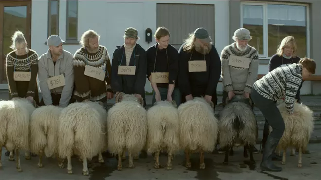Image: 'Rams'