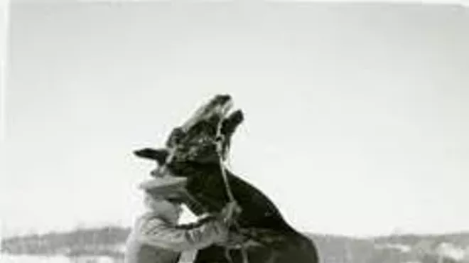 Image: 'Saddle Up! Norwich Cavalry: Training, Touring and Tactics on Horseback'